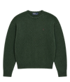 Polo Ralph Lauren Sweater