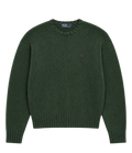 Polo Ralph Lauren Sweater