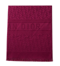 Christian Dior Schal/Halstuch