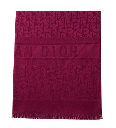 Christian Dior Schal/Halstuch